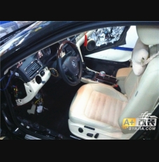 电动记忆座椅，新帕萨特完美升级