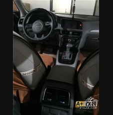 Q5 门灯 方向盘按键，巡航定速 后排出风口自动大灯